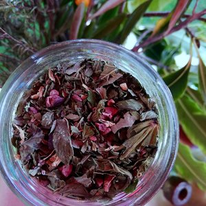 Herbal Teas — Persephone Potions: Manawa Herbal Tea - Persephone Potions