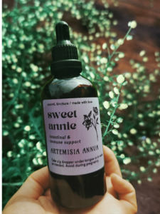 Herbal Teas — Persephone Potions: Sweet Annie tincture - Persephone Potions