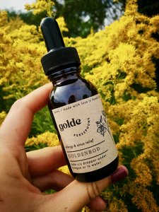 Herbal Teas — Persephone Potions: Goldenrod & Nettle tincture - Persephone Potions