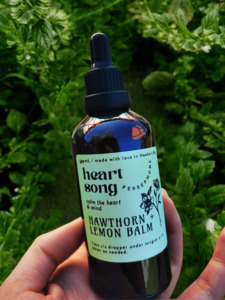 Herbal Teas — Persephone Potions: Soothe Song Lemon Balm & Motherwort Tincture - Persephone Potions