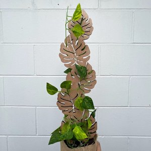 Plant Trellis
