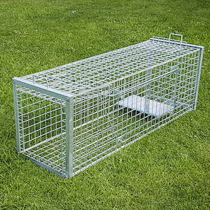 Dog & Large Animal Trap