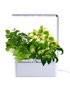 Mr Fothergills HydroGarden Grow Kit All-In-One