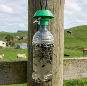 Flying Insects: Gotcha Reusable Fly Trap, Your Ultimate Solution for a Fly-Free Home and Business