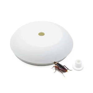 Ants: PestStop Ant and Cockroach Gel Bait - Your Ultimate Pest Control Solution