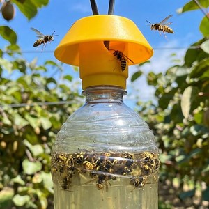 Wasps: Gotcha Bee-Safe Wasp Trap: Your Eco-Friendly Solution for a Buzz-Free Summer