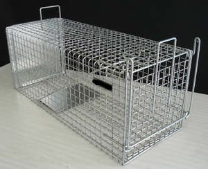 Live Capture Cage for Mustelids, Possums & Wild Cats