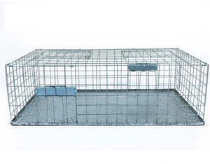 Effective Pigeon Trap Cage – Foldable & Durable Solution for Your Bird Control Needs