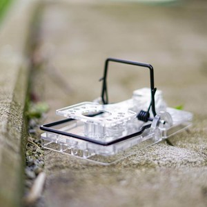 Gorilla Rat Trap: The Ultimate Transparent Solution for Effective Rodent Control