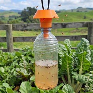 Experience Effortless Fruit Fly Control with Gotcha Reusable Outdoor Fruit Fly Trap