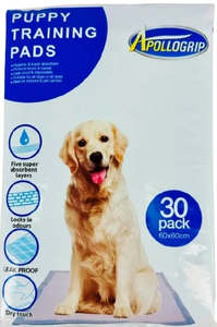 Health Clean Up: Puppy Training Pads 60x60cm 30pk