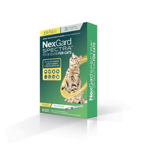 Health Flea Worm: Nexgard Spectra for Cats 3pk