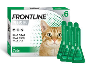 Frontline Cat
