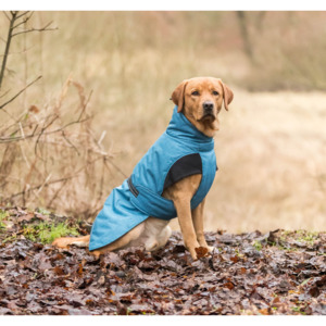 Dog Apparel: Riom Winter Coat - Blue