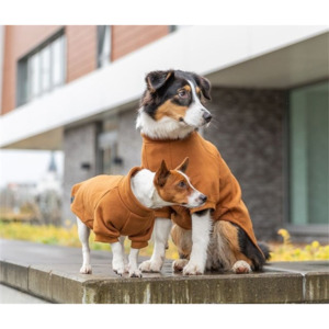 Amsterdam Sweatshirt - Rust