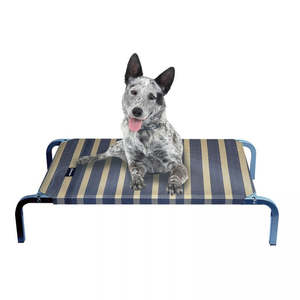 Dog Bedding: Leisure Raised Dog Bed
