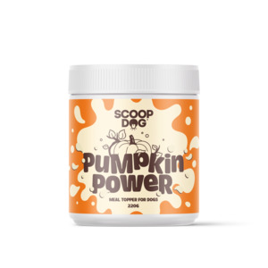 Scoop Dog Pumpkin Power