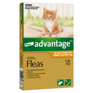 Cat Flea Worm: Advantage Small Cat and Kitten Under 4kg