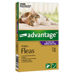 Cat Flea Worm: Advantage Cat and Rabbit Over 4kg