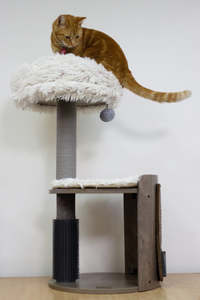 Cat Scratchers: Pet Pals Cat Scratcher Mid Century Arc Medium