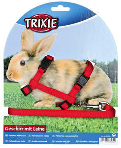 Small Pet Tethering: Trixie Harness Rabbit