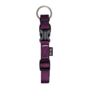 Dog Tethering Collars: Zeus Adj Collar Royal Purple