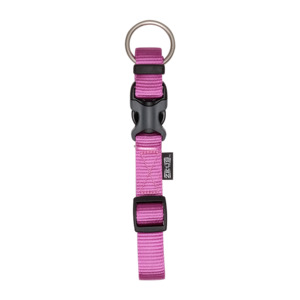 Zeus Adj Collar Fuchsia