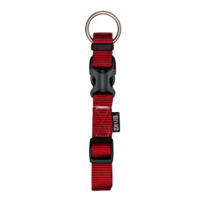 Dog Tethering Collars: Zeus Adj Collar Red
