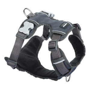 Dog Tethering Harnesses: Red Dingo Padded Harness