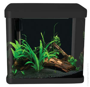 Aqua One Lifestyle 21 Tank