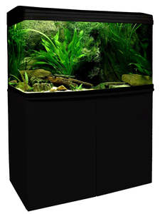 Fish Aquariums Tanks: Aqua One AquaStyle 980/T Stand