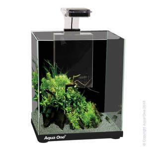 Fish Aquariums Tanks: Aqua One Focus Aquarium