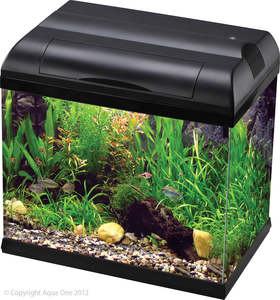 Fish Aquariums Tanks: Aqua One Ecostyle 42 Tank