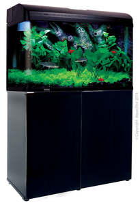 Fish Aquariums Tanks: Aqua One AquaStyle 850 Stand