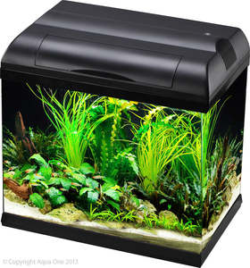 Fish Aquariums Tanks: Aqua One Ecostyle 37 Tank