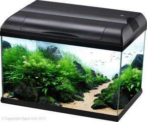 Fish Aquariums Tanks: Aqua One Ecostyle 47 Tank
