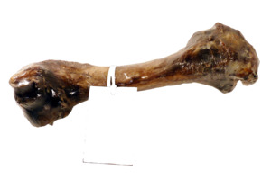 Dog Treats Natural: Venison Clod Bone - Small