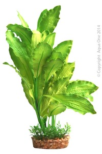 Aqua One Silk Plant - Amazon Sword