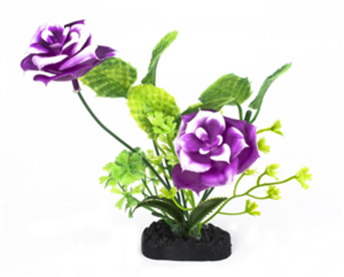 Aqua World Plant Floral Beauty 15cm