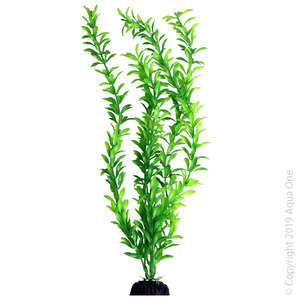 Fish Decorations Plants: Aqua One Ecoscape XL Ludwigia Green