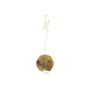 Small Pet Toys: Bristle Ball