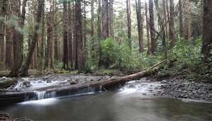 Tararuas: KIRIWHAKAPAPA TARARUAS