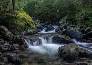 Tararuas: ATIWHAKATU HUT TRACK