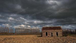 Buildings: GREYTOWN COTTAGE