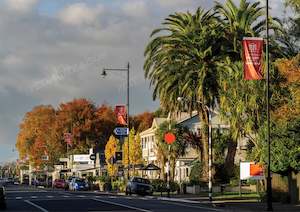 GREYTOWN MAIN STREET