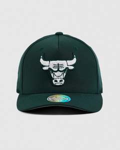 NBA Winter Colour 110 Snapback - Chicago Bulls  Pine