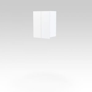 Products: Wall 2 Door Cabinet