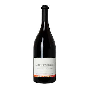 Pinot Noir 1: 2021, Domaine Tollot-Beaut, CHOREY-LES-BEAUNE, Magnum (1500ml)