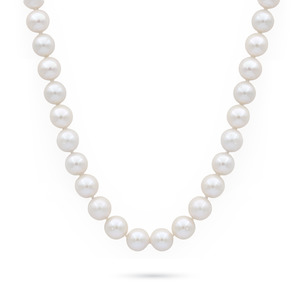 Big Freshwater Cultured Pearls