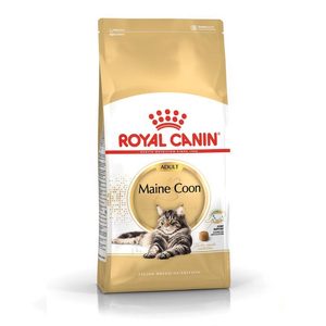 Royal Canin Maine Coon Adult Pet Essentials Rototuna Hamilton